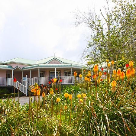 Matakohe House Bed and Breakfast Buitenkant foto